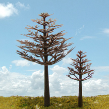 model trees